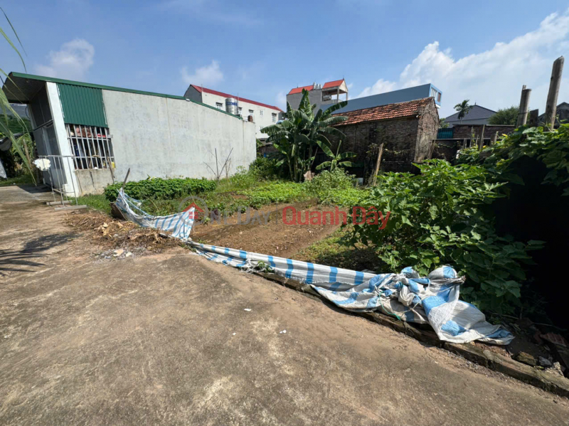 Property Search Vietnam | OneDay | Residential, Sales Listings, Selling 50m2 of land in Trang Viet, Me Linh. Car parking. A few minutes to Bac Thang Long industrial park.