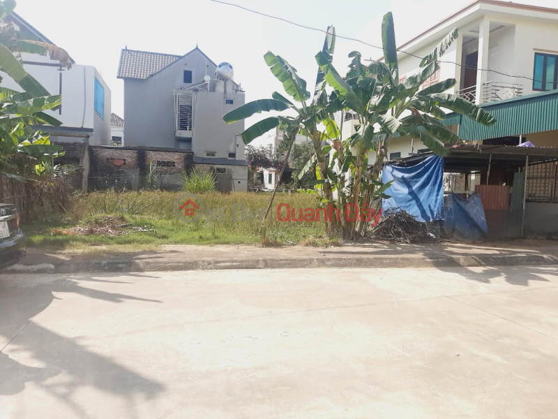 BEAUTIFUL LAND - GOOD PRICE - OWNER NEEDS MONEY TO SELL LAND LOT IN Thieu Hoa district, Thanh Hoa province Sales Listings