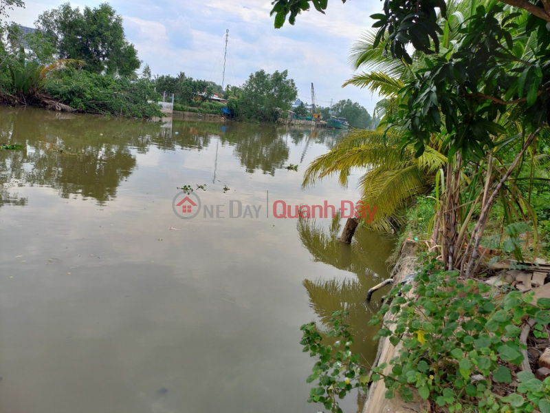 Property Search Vietnam | OneDay | Residential, Sales Listings, The owner sells land in Phuoc Hau commune, Long Ho district, Vinh Long province.