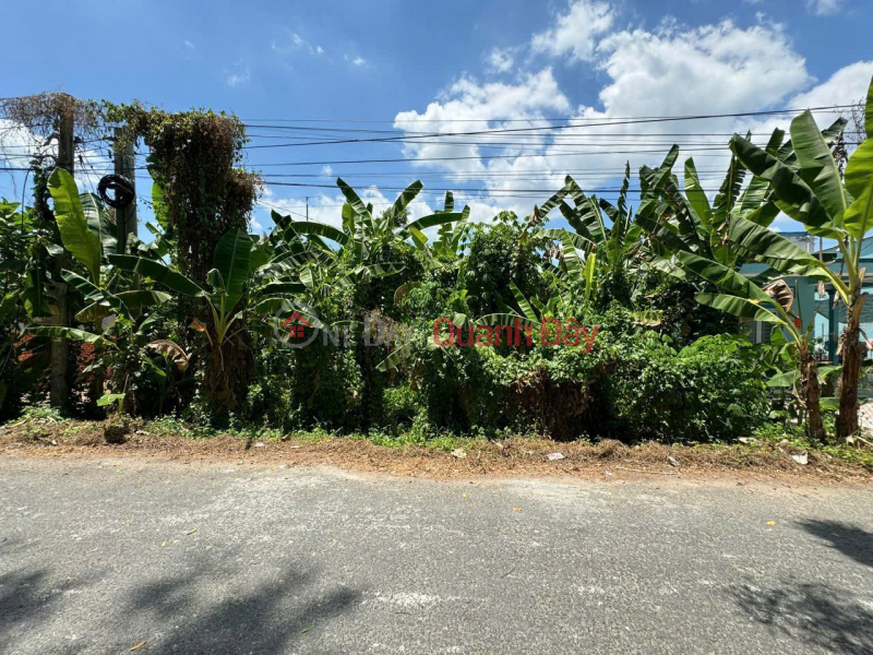 Property Search Vietnam | OneDay | Residential | Sales Listings, PRIME LAND – GOOD PRICE – OWNER SELLING LAND in Tan Hoa Commune, Vinh Long City, Vinh Long Province