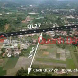 Chính chủ cần bán gấp 1ha đất view đồng ruộng _0