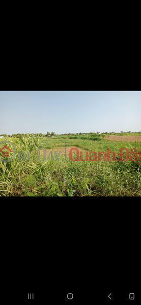 ₫ 3 Billion, OWNER - GOOD PRICE - Selling Land Lot Location at Binh Trung Dong hamlet, Binh Nhi commune, Go Cong Tay, Tien Giang