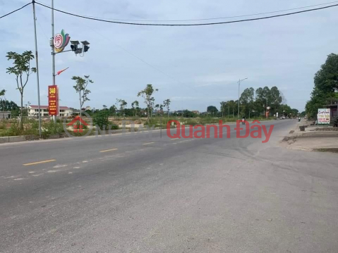 Hong Thai residential area on street 295B - Bac Giang is only 1.3 billion\/lot\/90m2 _0