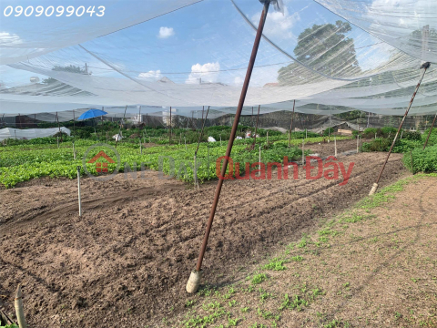 URGENT SALE: 1,560m² LAND – TRAN THI BOC STREET – NEAR DANG THUC VINH INTERSECTION, HOC MON DISTRICT _0
