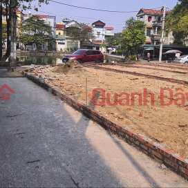 Land for sale on Gia Luong Lake (Gia Loc communal house),Viet Hung commune, Dong Anh, Hanoi, 75m2, tax free _0