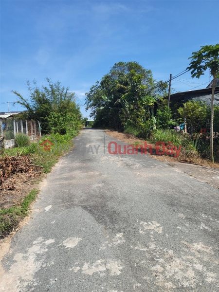 Property Search Vietnam | OneDay | Residential, Sales Listings BEAUTIFUL LAND - INCREDIBLE PRICE Need Money Urgently Land Lot At Tree Trom My Khanh - Cu Chi