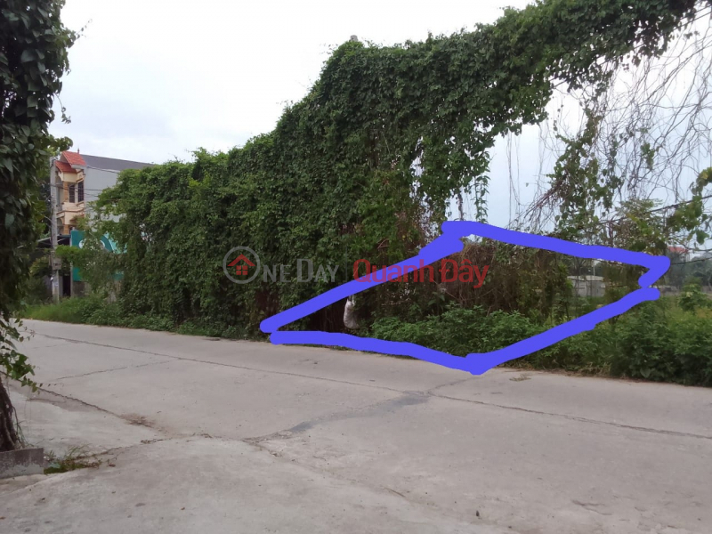 Consignment for sale of 100m2, 5m square meter, 2x million\\/m2, bottom dike surface at Lam Dien, Chuong My, Hanoi, bypass car, business, Vietnam Sales đ 2.9 Billion