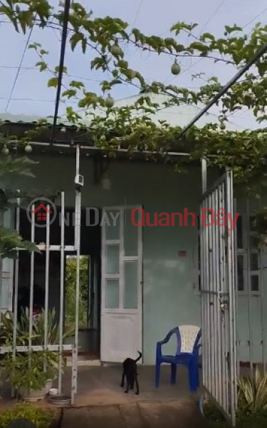 Level 4 house for sale by owner in Suoi Rao commune, Chau Duc, Ba Ria Vung Tau Sales Listings