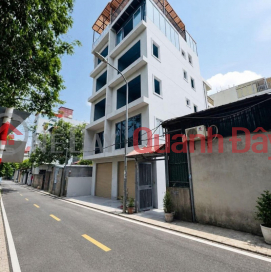 NEW 7-STORY HOUSE WITH CAR PARKING AT THE DOOR - SUITABLE FOR BUSINESS - Bat Khoi Street, Long Bien District - 48 m2 - 14 billion VND. _0