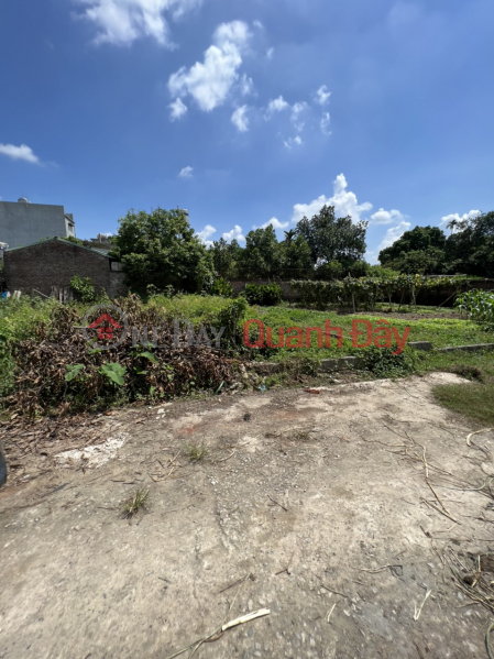 Property Search Vietnam | OneDay | Residential, Sales Listings, Introducing a plot of land divided into 2 lots without losing alleys - Thuy Xuan Tien - Chuong My - area 240m front 10 rear 10