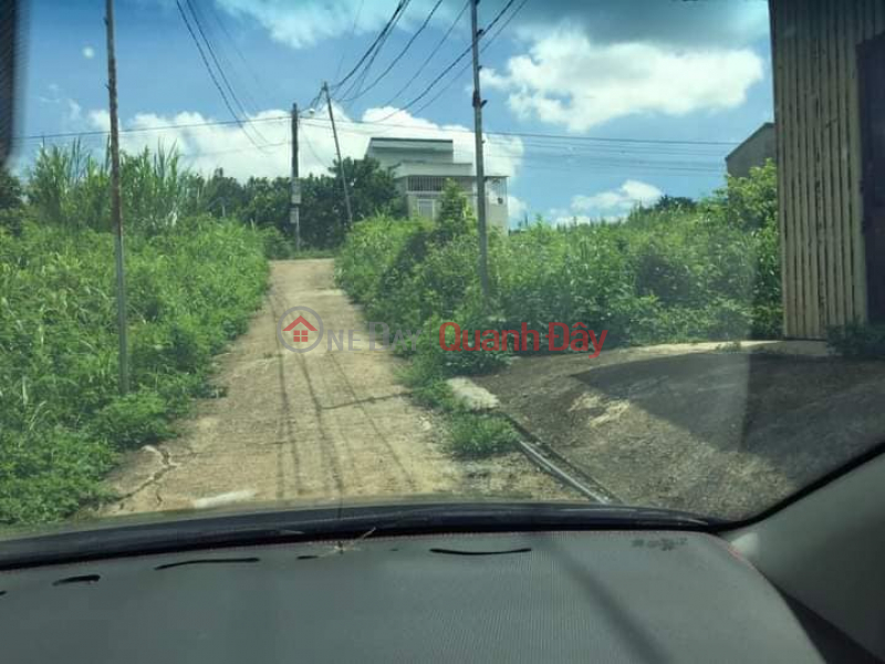 quick sale of land plot Thanh Nhat Sales Listings (ut-6551957993)