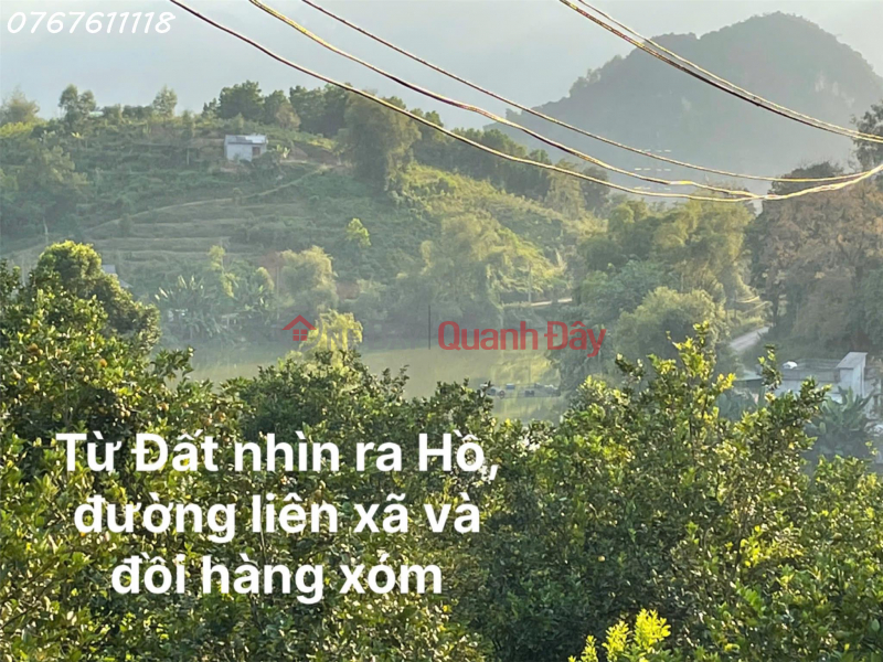 Garden house land for sale in Tuan Lo Tan Lac, view of irrigation lake, near Man Duc town, 1.1ha, surplus of 3 billion Sales Listings