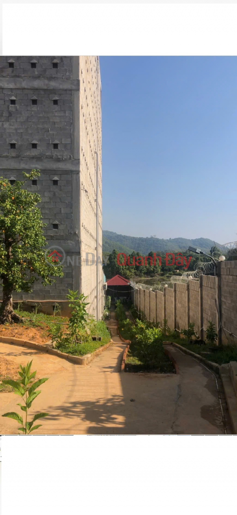 Owner selling house and land with existing swiftlet farm, area 1249m², in Nam Cat Tien, Tan Phu, Dong Nai. _0