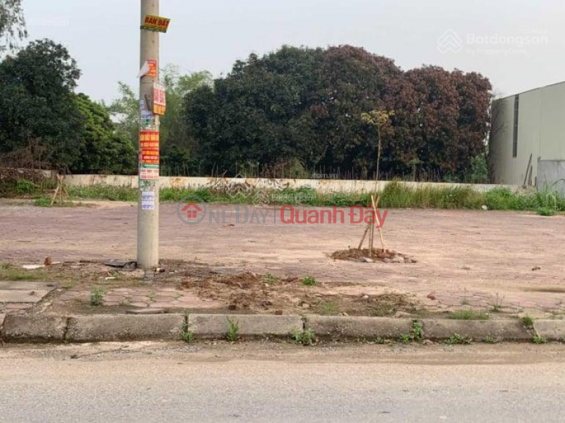 The owner needs to sell quickly Business Land Lot Provincial Road 381 - Giai Pham - Yen My - Hung Yen Sales Listings