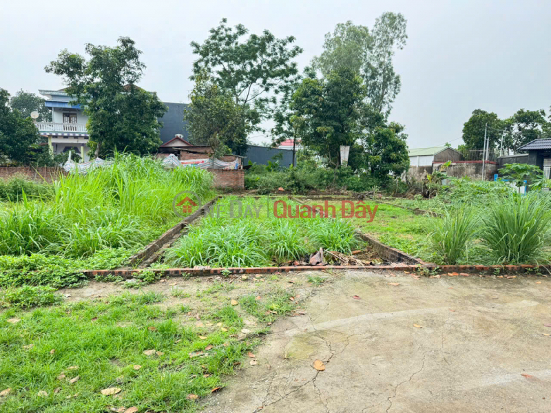 Bán 45m đất thôn Bạch Đa, Kim Hoa, Mê Linh. Gần KDT Kim Hoa, đón sóng đường vành đai 4, Việt Nam Bán, đ 2,1 tỷ