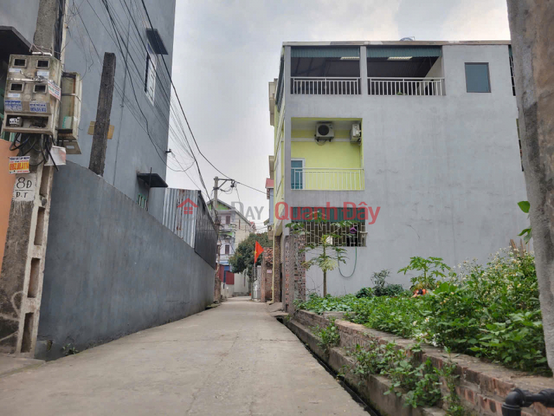 Property Search Vietnam | OneDay | Nhà ở | Niêm yết bán | Đất đẹp Tiền Phong, Mê Linh - Hướng Nam, Ô tô đỗ cửa, Sổ đỏ sẵn sàng