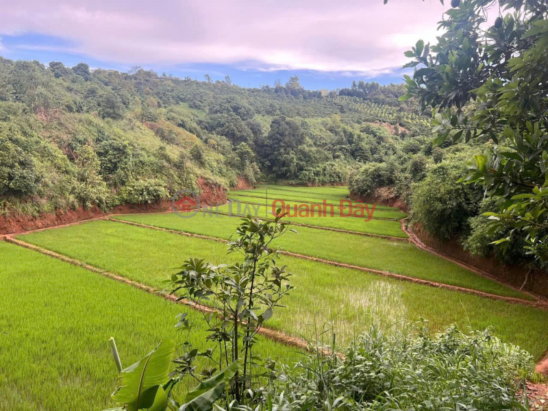 Land for sale for Homestay, Farmstay Vietnam Sales đ 1.8 Billion