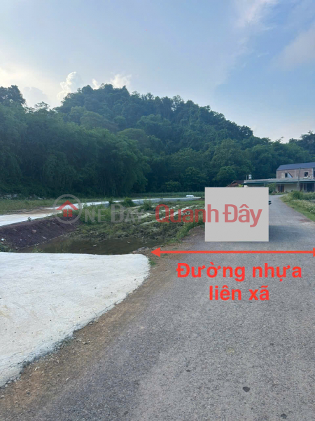 Giá chưa đến 100 triệu - Sở hữu ngay lô đất đẹp gần hồ điều hòa Đa Phúc - Cạnh đường nhựa liên xã, Việt Nam Bán | đ 90 triệu