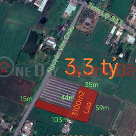 Selling a plot of rice land converted to 5m asphalt Nguyen Van Chau street for 3.3 billion _0