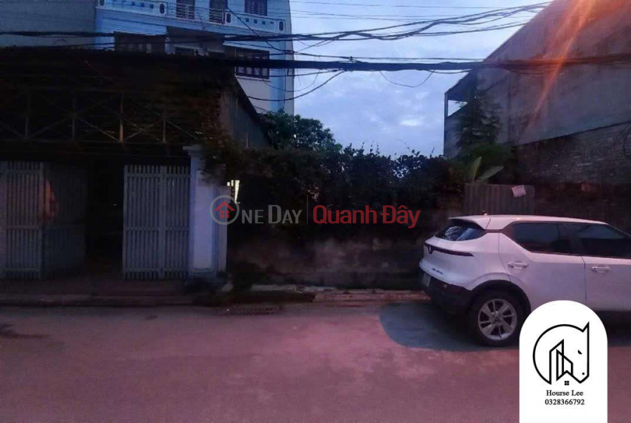 Land for sale on Tan Thuy Phuc Dong street, for car business, 169m wide, frontage: 7.5m, 23 billion Sales Listings