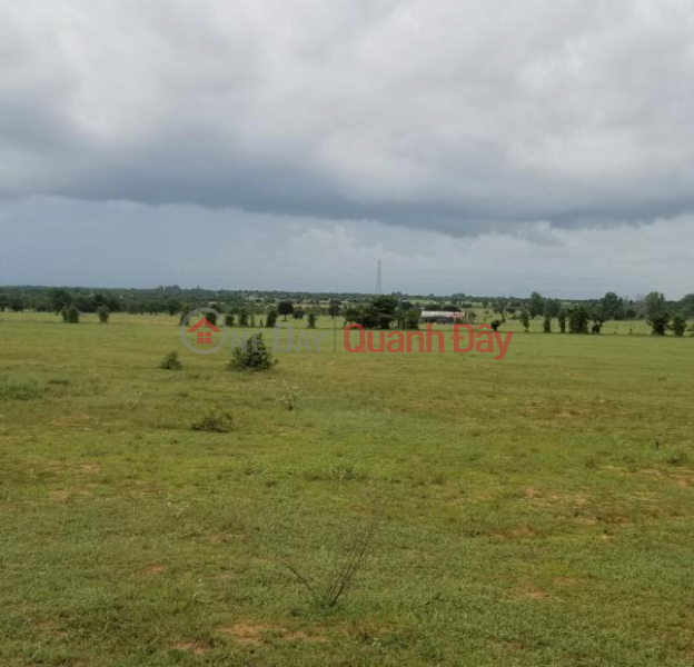 Property Search Vietnam | OneDay | | Sales Listings | Land plot for sale at the front of National Highway 55, Lac Thuan Quarter, Lac Tanh town, Tanh Linh district, Binh Thuan province