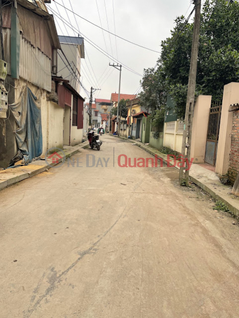 The owner needs money and wants to quickly sell the main plot of land in Thanh Mieu Village, Viet Hung, Van Lam, Hung Yen _0