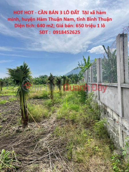 HOT HOT - 3 LOTS OF LAND FOR SALE IN Ham Minh Commune, Ham Thuan Nam District, Binh Thuan Province Sales Listings