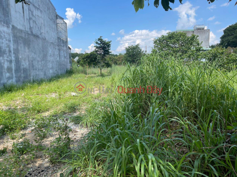 BEAUTIFUL LAND - GOOD PRICE - FOR URGENT FOR SALE Beautiful Land Lot in Phu Giao district, Binh Duong province, Vietnam | Sales đ 1.1 Billion