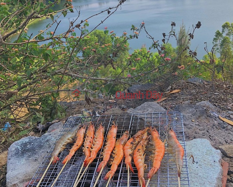 Green Lake (Hồ Xanh),Son Tra | (1)