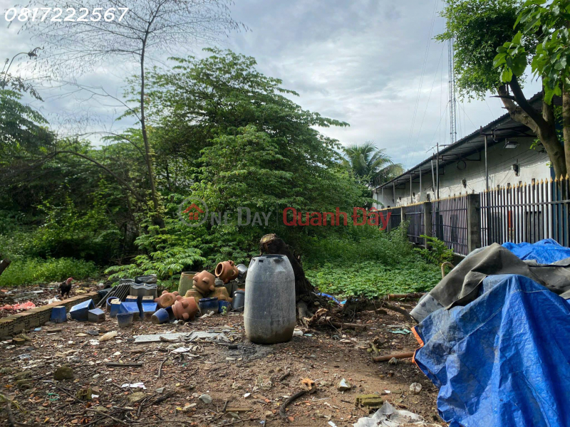 Bán đất chính chủ đường DX098 phường Hiệp An, Thủ Dầu Một, Bình Dương Niêm yết bán