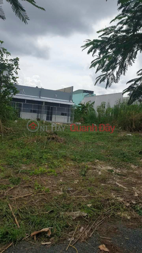 OWNER Sells Plot Beautiful Location In Cat Tuong Area, Ward 3, Vi Thanh City, Hau Giang _0