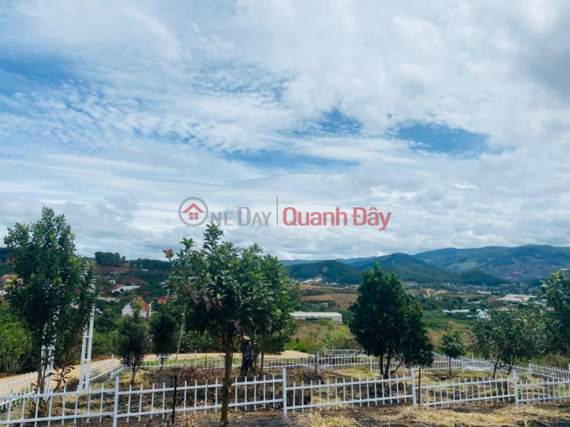 Property Search Vietnam | OneDay | Nhà ở Niêm yết bán, ĐẤT ĐẸP - GIÁ TỐT - Cần Bán Lô Đất Vị Trí Đắc Địa Tại TT Nam Ban, Huyện Lâm Hà, Lâm Đồng