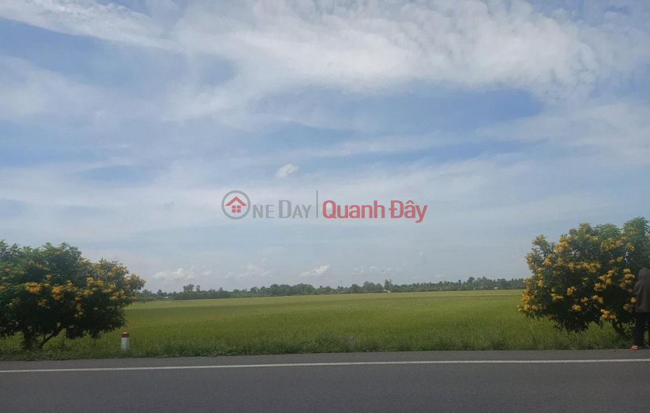 GENERAL FOR SALE QUICKLY Beautiful Land Lot Front Street 61C Near Vi Thanh Law School, Hau Giang Sales Listings