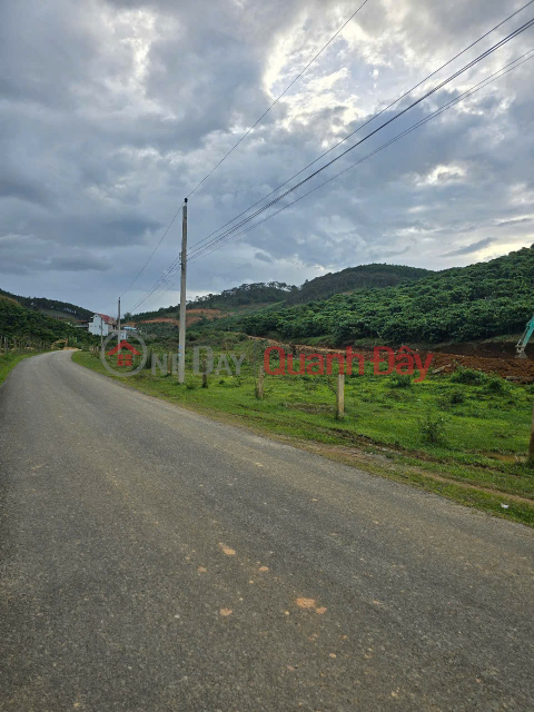 ĐẤT ĐẸP –GIÁ ĐẦU TƯ – CHÍNH CHỦ CẦN BÁN ĐẤT NỀN Thị trấn Liên Nghĩa, huyện Đức Trọng, Lâm Đồng _0