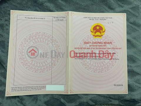 Land in Quat Lam Town, Giao Thuy District 2.2 billion - 100m² near beach resort, suitable for building villa - Nguyen Hung _0