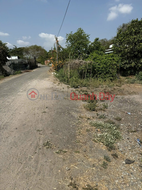 Owner needs to sell land at a cheap price near Nguyen Thi Lang Street, Tan Phu Trung Commune, Cu Chi District, Ho Chi Minh City. _0