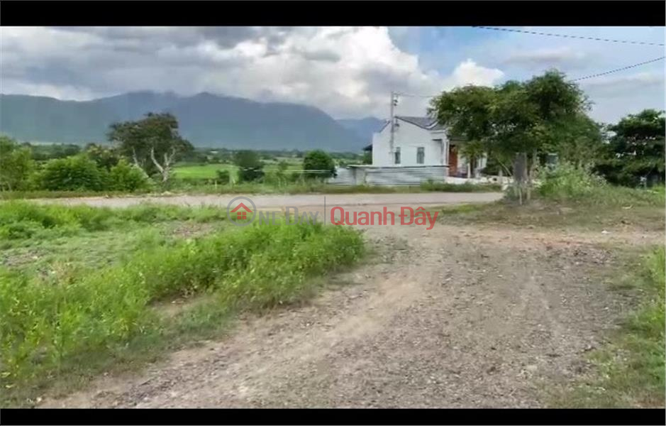 BEAUTIFUL LAND - GOOD PRICE For Quick Sale Land Front Lot In Binh An Commune Bac Binh, Binh Thuan Sales Listings