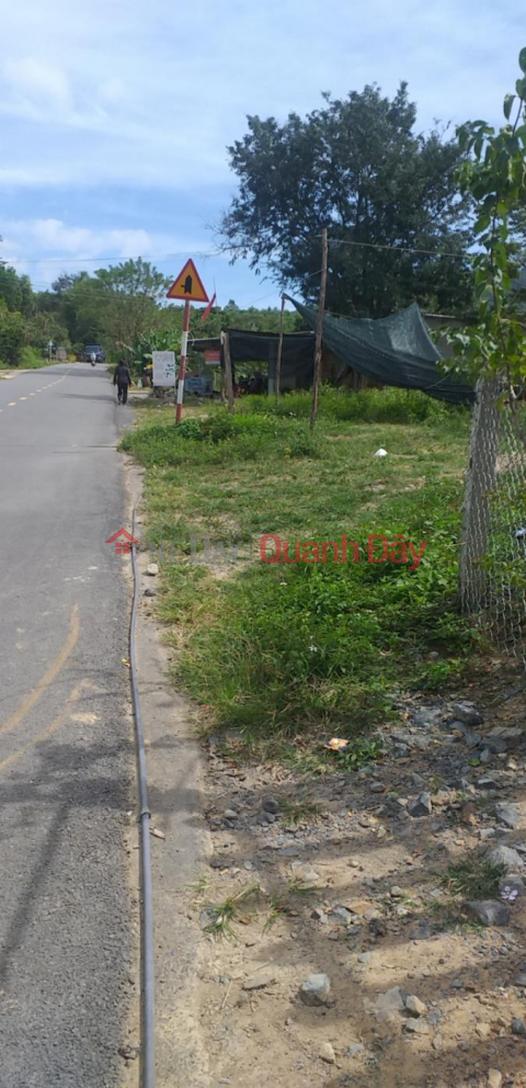 BEAUTIFUL LAND - GOOD PRICE - Owner Sells Fast Land Lot In Khanh Son, Khanh Hoa _0