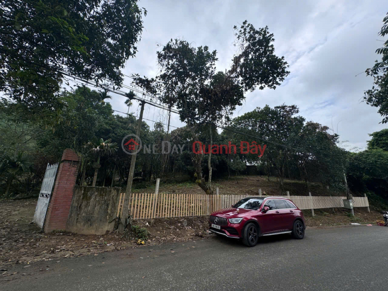 Urgent sale of a 3,100m² plot of land facing National Highway 6 - a prime location in Luong Son, Hoa Binh. Sales Listings