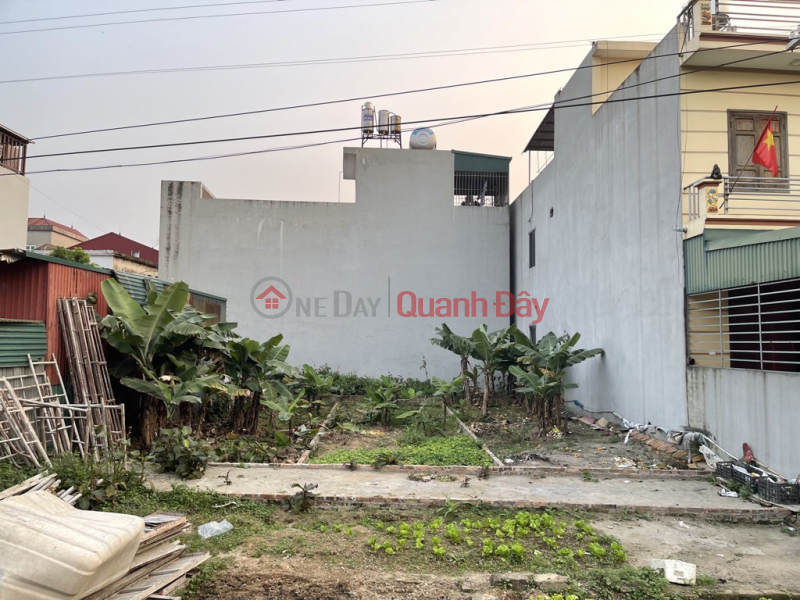 Property Search Vietnam | OneDay | Nhà ở Niêm yết bán Bán đất Tiên Dương 40m x 4m gần oto, giá chỉ 1,x tỷ có TL. LH: 0936123469