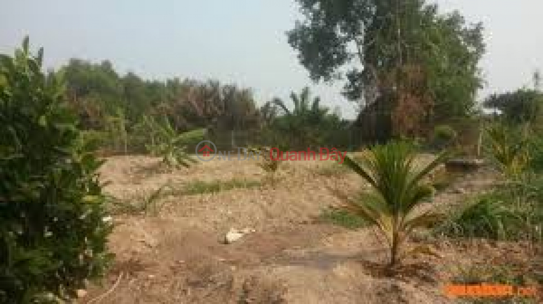 Property Search Vietnam | OneDay | , Sales Listings, The owner is selling 2 plots in Ward 2, Soc Trang City, Soc Trang Province