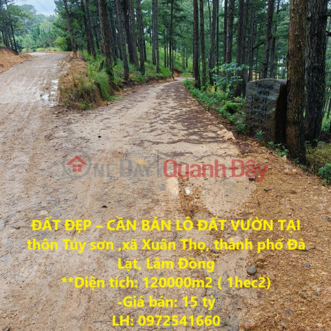 BEAUTIFUL LAND - GARDEN LOT FOR SALE IN Tuy Son village, Xuan Tho commune, Da Lat city, Lam Dong _0