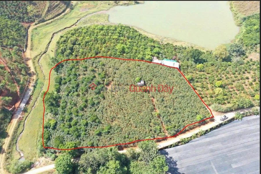 ĐẤT VƯỜN VIEW HỒ – GIÁ RẺ – CHÍNH CHỦ CẦN BÁN LÔ ĐẤT TẠI Xã Tà Nung, TP Đà Lạt, Tỉnh Lâm Đồng Việt Nam | Bán đ 2 tỷ