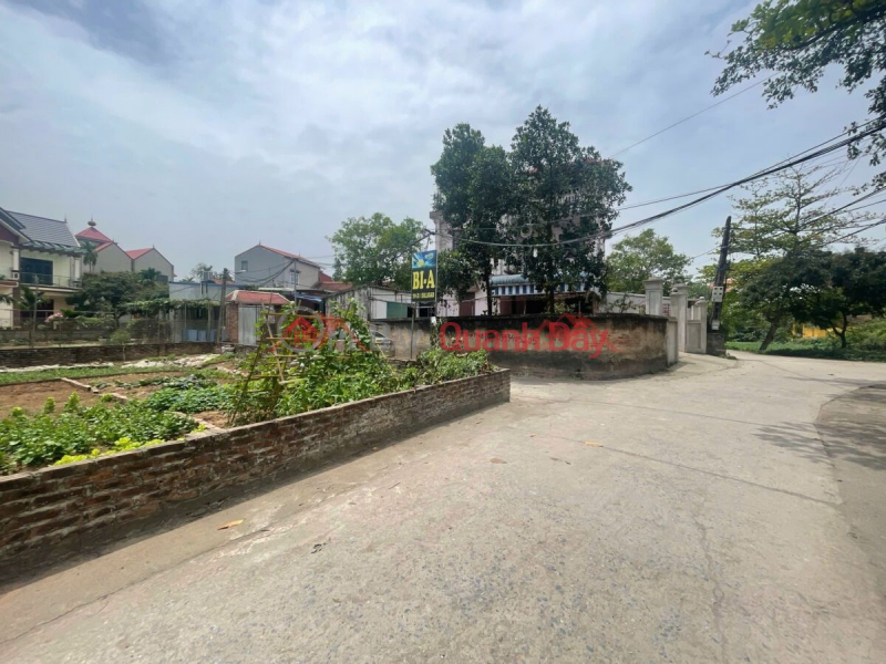 Property Search Vietnam | OneDay | Nhà ở, Niêm yết bán CHÍNH CHỦ BÁN LÔ GÓC ĐẸP 58,6M TẠI THỤY HƯƠNG-CHƯƠNG MỸ-HÀ NỘI