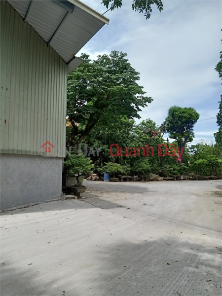 Selling 3,000m2 of land for warehouse and workshop 50 at Phu Thi Industrial Complex, Gia Lam District, Hanoi. Sales Listings