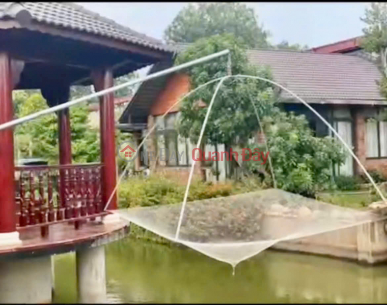 Villa with garden for rent or sale, located on Long Thuan road. Rental Listings