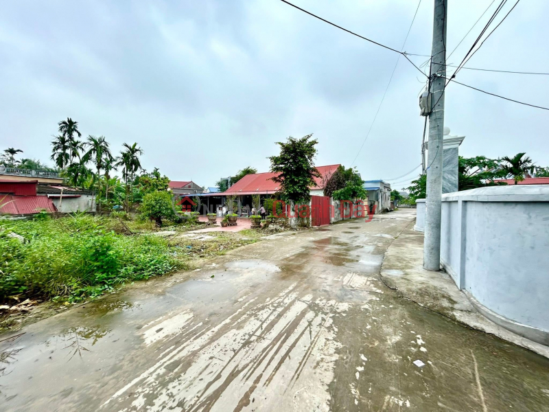 Bán đất đẹp Thôn An Tứ, Tiên Lãng, Hải Phòng - Vị trí tiềm năng, khu dân cư đông đúc - Giá tốt, Việt Nam | Bán | đ 1,05 tỷ