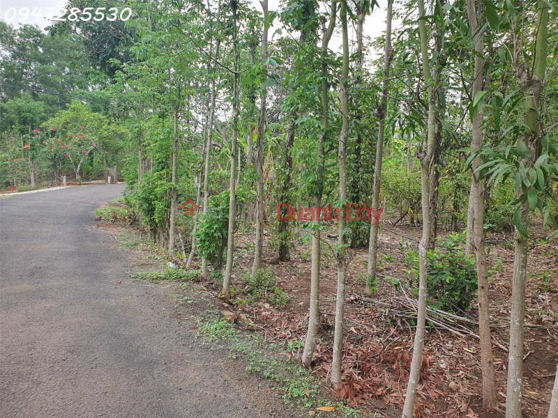 The owner needs to sell a plot of land of 4026m2, 93m long asphalt road frontage, Lang Lon, Chau Duc, Vietnam Sales | đ 6.84 Billion