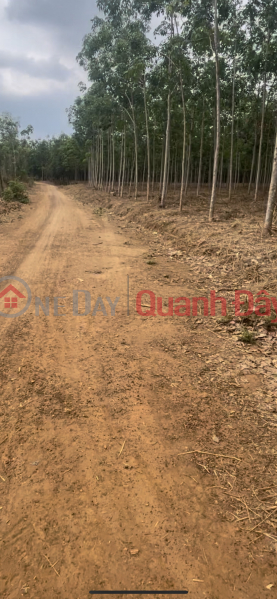 Property Search Vietnam | OneDay | Residential | Sales Listings Selling land 1000m wide road 14m wide price 200 million