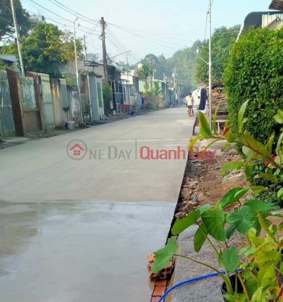 Property Search Vietnam | OneDay | Residential, Rental Listings, THE OWNERS NEED TO LEASE RESIDENTIAL LAND IN Hamlet 5, LONG PHUOC Commune - LONG THANH - DONG NAI.